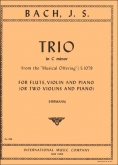 Trio in C minor from the "Musical Offering", S. 1079