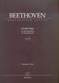 Beethoven - Great Fuge for String Quartet op. 133 - Parts