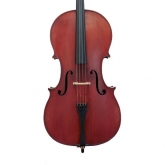 French Cello c.1900 Labelled BERGONZI