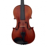 Violin <br>